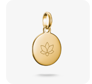 Charm Pendant Coin Connect gold