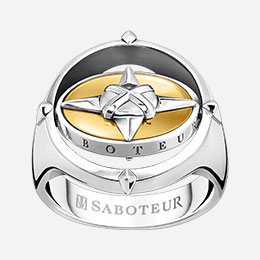 Ring Sacred Planet Turnable