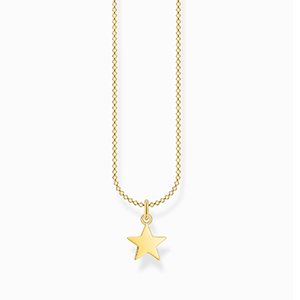 Necklace star gold