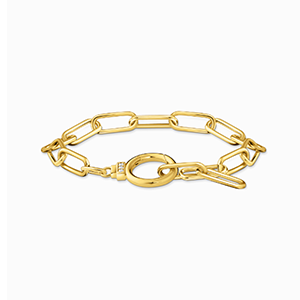 Yellow-gold plated link bracelet with zirconia and ring clasp