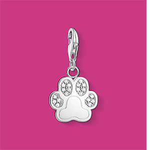 Charm pendant paw