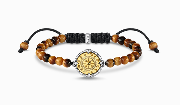 Bracelet elements of nature tiger‘s eye gold