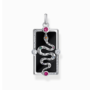 Silver pendant with a snake, black cold enamel and various stones