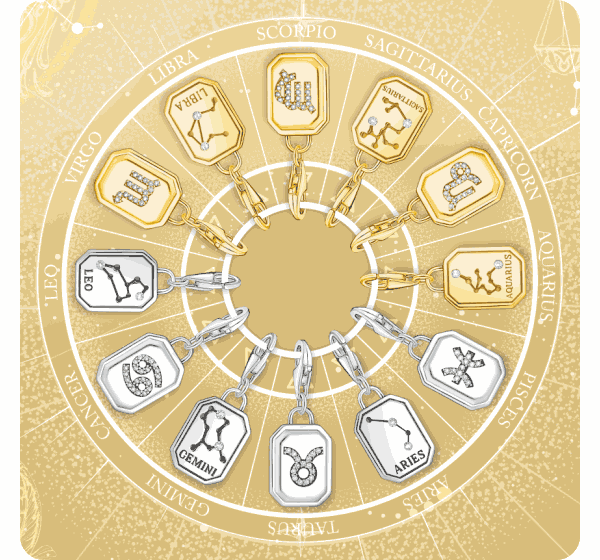 Zodiac Sign Charms