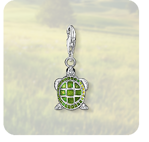 Charm pendant tortoise