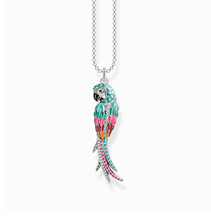 Necklace Parrot