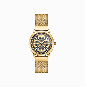 Gold-coloured women's watch with 33 mm, dragonflies & zirconia