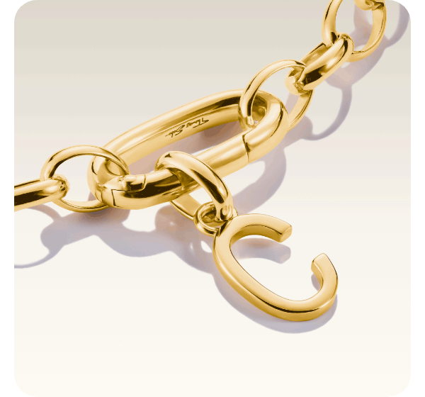 Charm bracelet paperclip with Connect link gold-plated